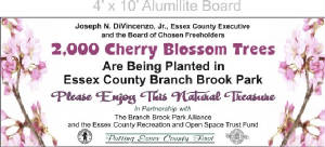 CHERRY BLOSSOM sign jpg.jpg